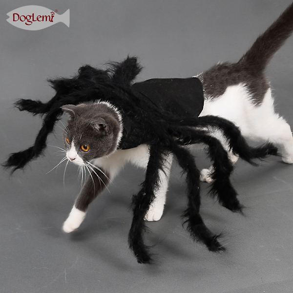 Halloween Dekoration Husdjurskläder Spindel Valp Katt Skräck