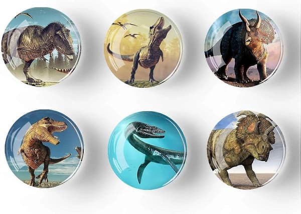 Sæt med 12 Glas Køleskabsmagneter - 35mm (Dinosaur)