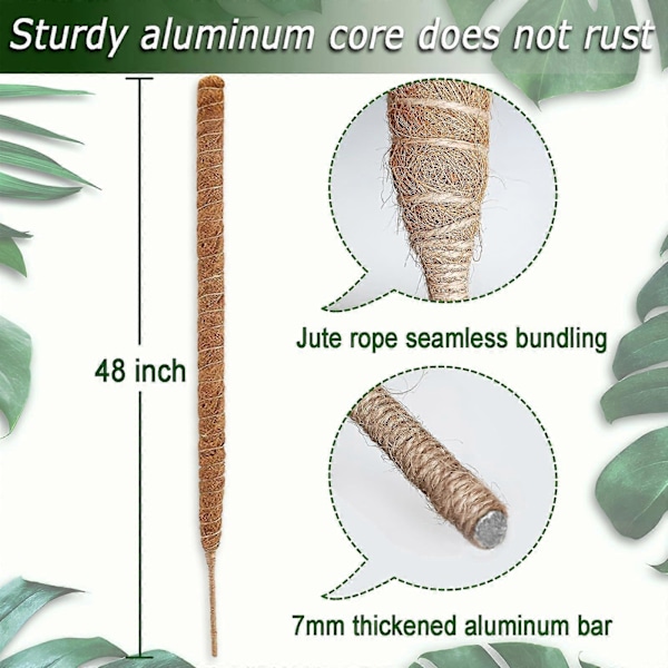 48 tums mossapinne, höga mossapinnar för klätterväxter inomhus, mossapinnestöd, spaljé för trädgårdsväxter, pinnar för krukväxter, Pothos