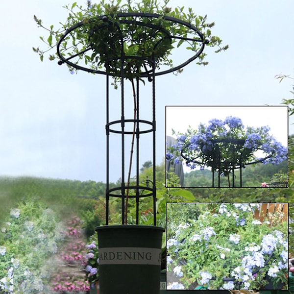 (90 cm) Trädgårdsspaljé för klätterväxter och blommor, metallspaljé för utomhusbruk snngv