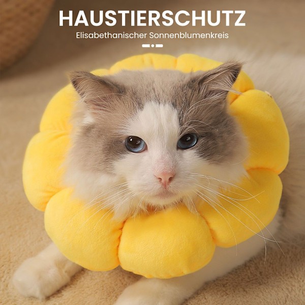 Justerbart katthalsband, mjukt hundhalsband