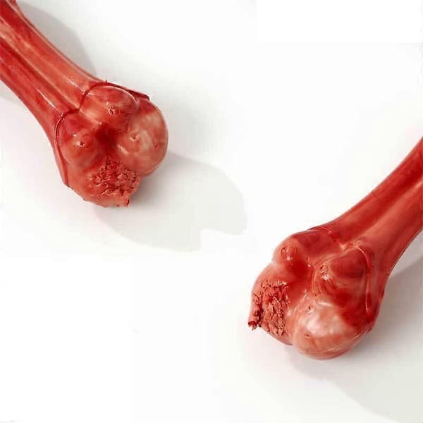Hundleksak Tuggbens Tåligt Giftfritt Ben Med Nötsmak Tandrengöring Massage Hundleksak 12*4.2CM