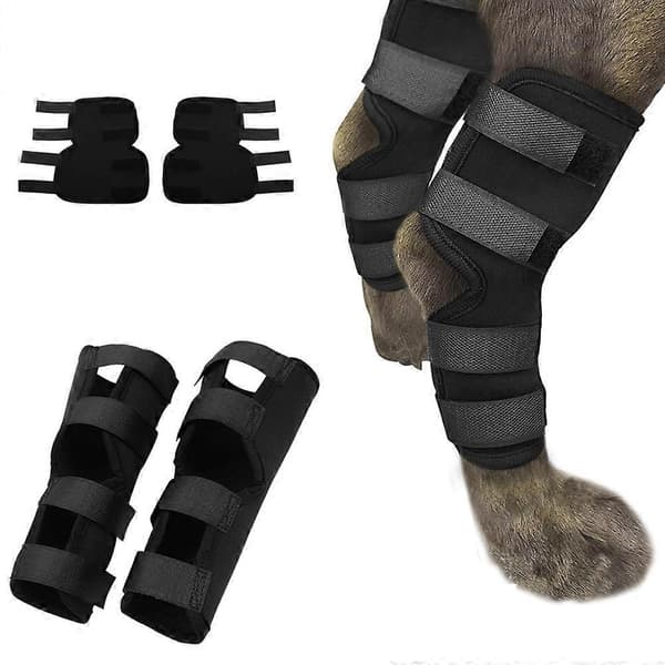 2-pack Hund Bakben Skena för Vrickningar, Bakbensstöd för Artrit, Stabilitet Efter Skada, Hundstöd (Ankel)