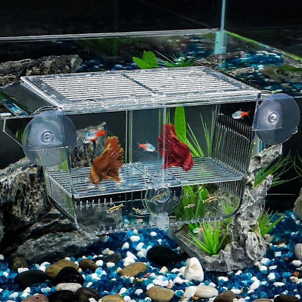 20*10*10cm Akvarium Fisk Ynglekasse, Akryl Inkubator Tank med Sugekopper til Rejeudrugning