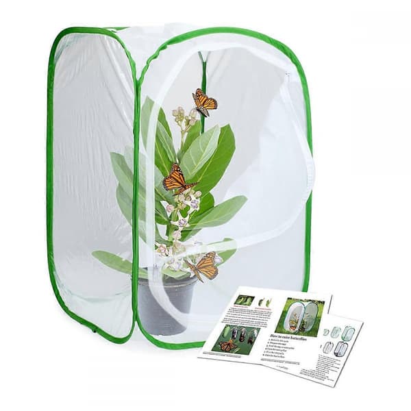 2-pack Insekts- och fjärilshabitatbur