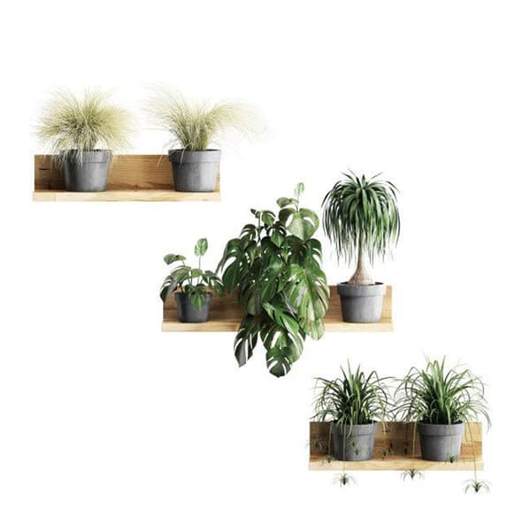 3D väggdekaler, avtagbara bonsai-väggdekaler, kreativ väggdekoration
