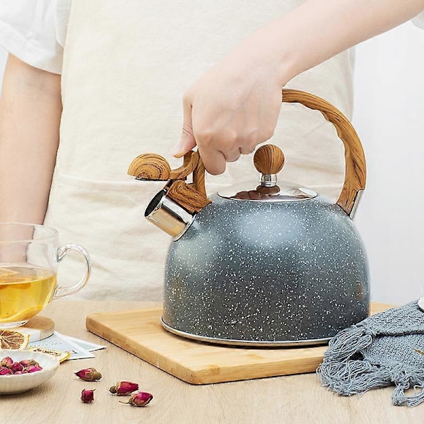 2,5L Vandkedel i Rustfrit Stål med Advarselsfløjte, Retro Stil med Praktisk og Ergonomisk Håndtag, Letvægt, Hurtig Opvarmning, BPA Fri, til Alle