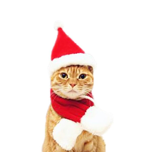Pet Cat Hat och Scarf Set Jul Pet Dräkt M
