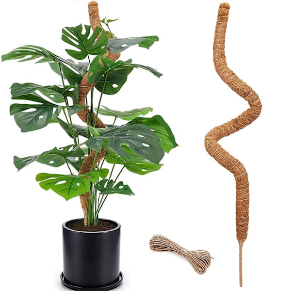 48 tums mossapinne, höga mossapinnar för klätterväxter inomhus, mossapinnestöd, spaljé för trädgårdsväxter, pinnar för krukväxter, Pothos
