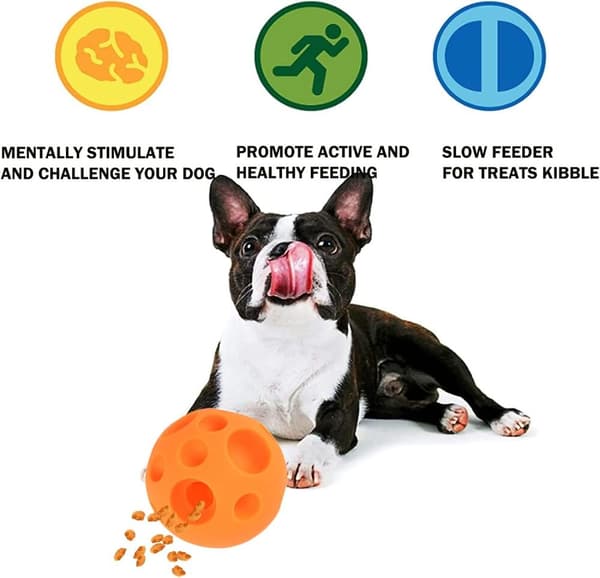 Paw Tricky Treat Ball, suuri