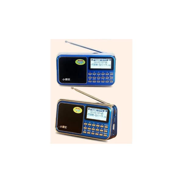 Radio D30 Digital Nyckel Med Antenn Stor Skärm Textvisning Plug-In Kort Bluetooth Laddning Audio Blå