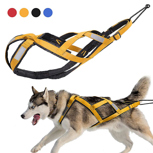 (Gul 2XL) Hundsläde Dragsele Reflex för Husdjur Träning