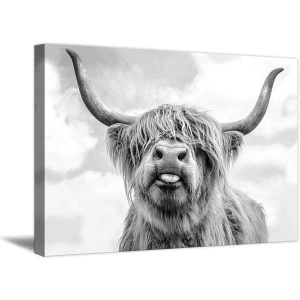 Highland Cow Canvas Väggkonst Svart och vit Anima