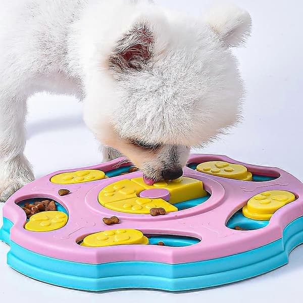 Blå Hunde Mater med Valpe Godbit Dispenser