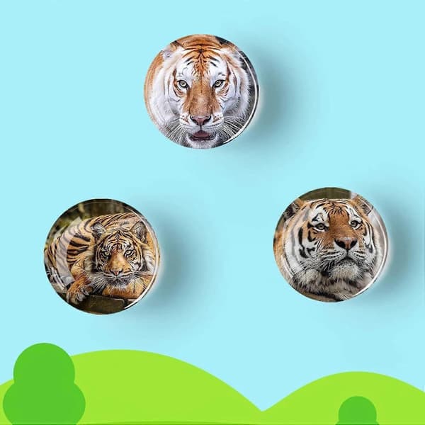 Sæt med 12 Glas Køleskabsmagneter - 35mm (Tiger)