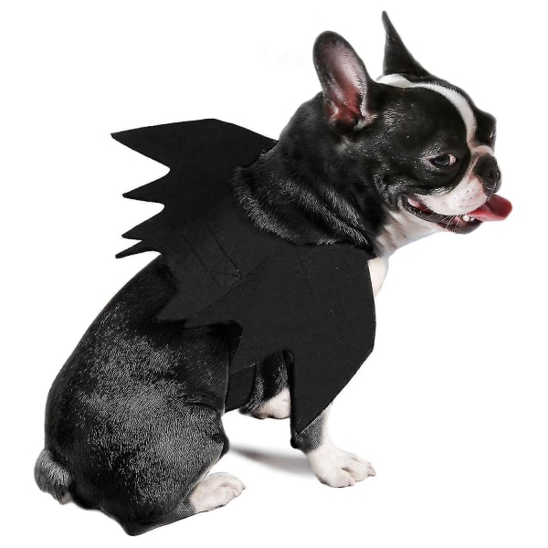 Pet Bat Wings Kostym Kostym