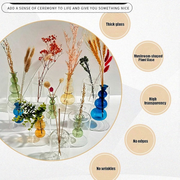 Dobbeltvægget Glas Boblevase - Hydroponisk Blomsterdisplay til Hjemmet/Events