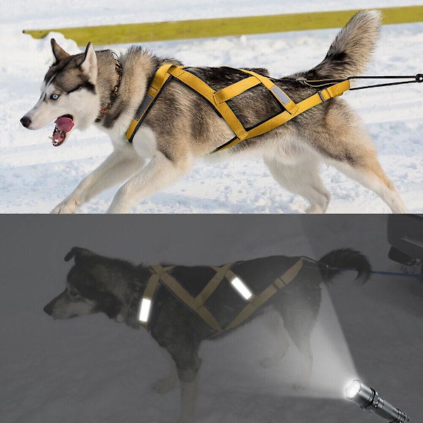 (Gul 2XL) Hundsläde Dragsele Reflex för Husdjur Träning