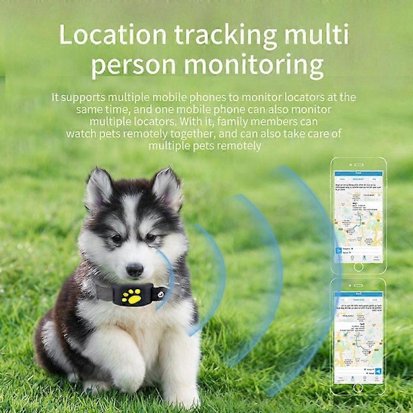 Älykäs lemmikkipanta GPS-paikantimella ja kevyellä vedenpitävällä aktiivisuusmonitorilla kissoille ja koirille