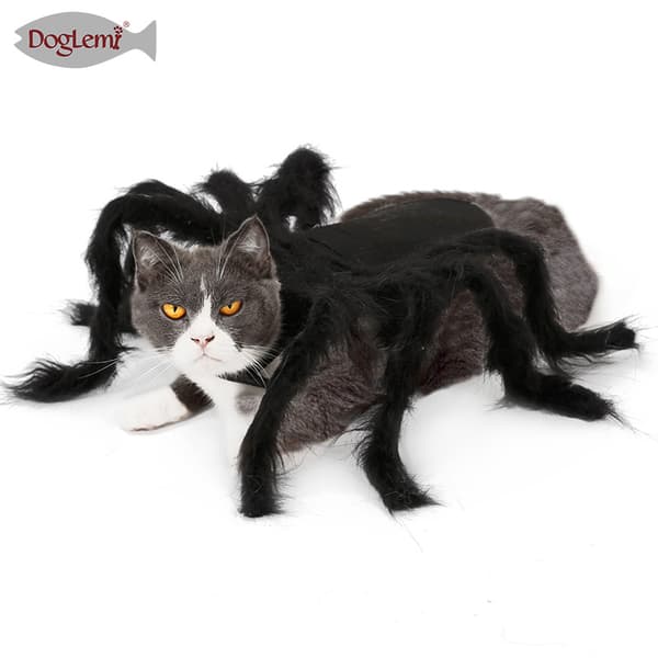 Halloween-dekorasjon kjæledyrklær edderkopp valp katt skrekk