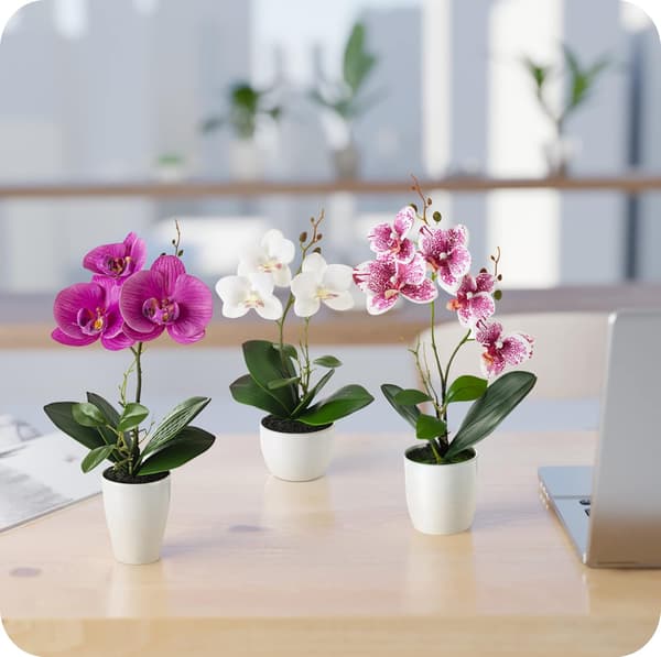 Kunstige blomster i potter (20 cm) - Sæt med 2 kunstige orkideer, dekorative blomster