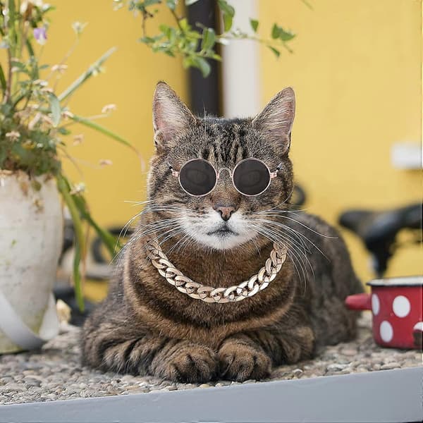 Katte Solbriller, UV Beskyttelse Katte Solbriller Retro Klassiske til Små Hunde Runde Solbriller til Dukker Tilbehør