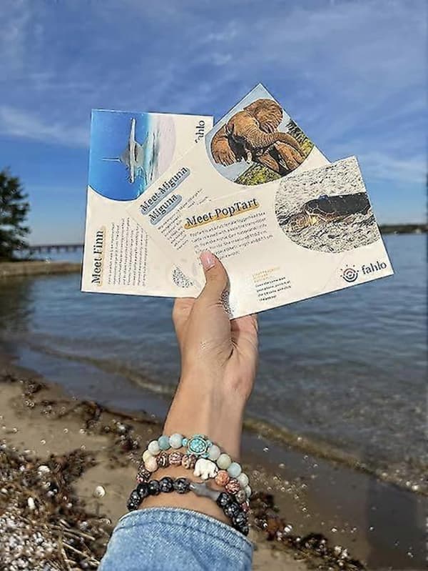 Havskildpadde sporingsarmbånd, elastisk, støtter Sea Turtle Conservancy, én størrelse passer de fleste til mænd og kvinder, blå