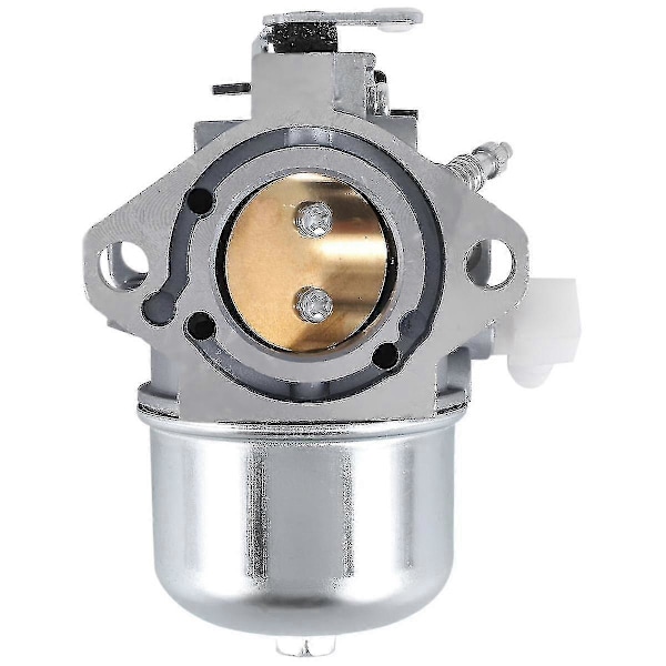 Kompatibel Briggs &amp; Stratton Förgasare Carb 28m707 28r707 28t707 28v707 694941 699831 Motor Gräsklippare P1009919653061