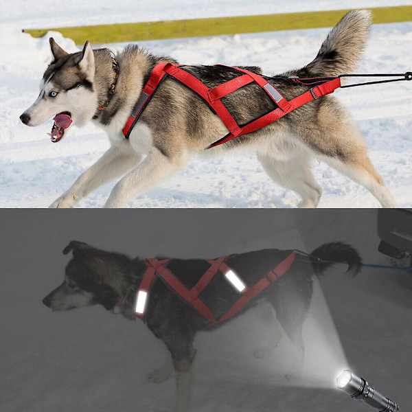 (Punainen M) Koiravaljakkovedon vetovaljaat heijastimilla lemmikkien koulutukseen