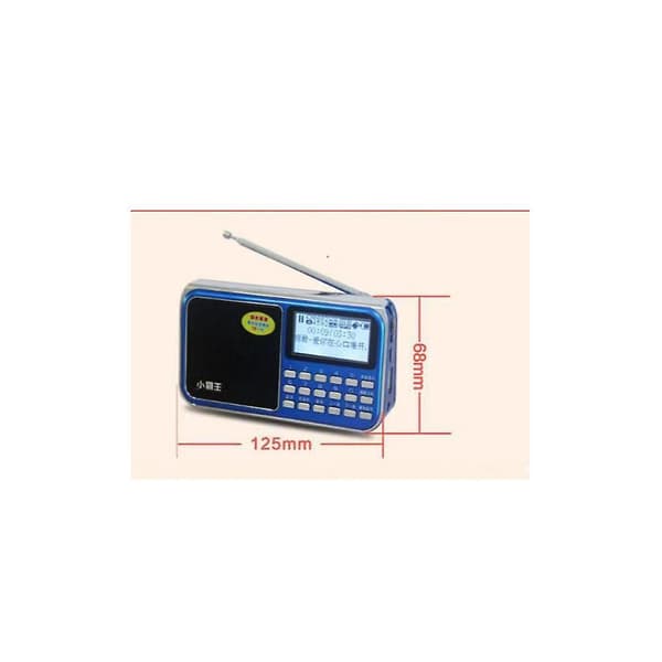 Radio D30 Digital Nøgle Med Antenne Stor Skærm Sangtekstvisning Plug-In Kort Bluetooth Opladning Audio Blå