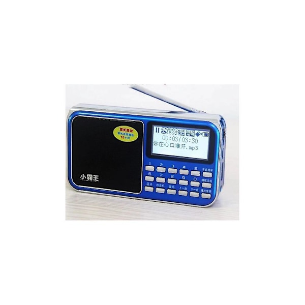 Radio D30 Digital Nyckel Med Antenn Stor Skärm Textvisning Plug-In Kort Bluetooth Laddning Audio Blå