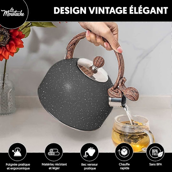 2,5L Vandkedel i Rustfrit Stål med Advarselsfløjte, Retro Stil med Praktisk og Ergonomisk Håndtag, Letvægt, Hurtig Opvarmning, BPA Fri, til Alle