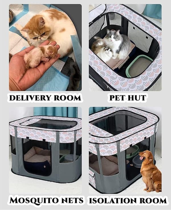 Bärbart Hundhus Djurstängsel Vikbar Djurlekhage Förlossningsrum Kattbo Valphus Stängd Kennel Djurtält