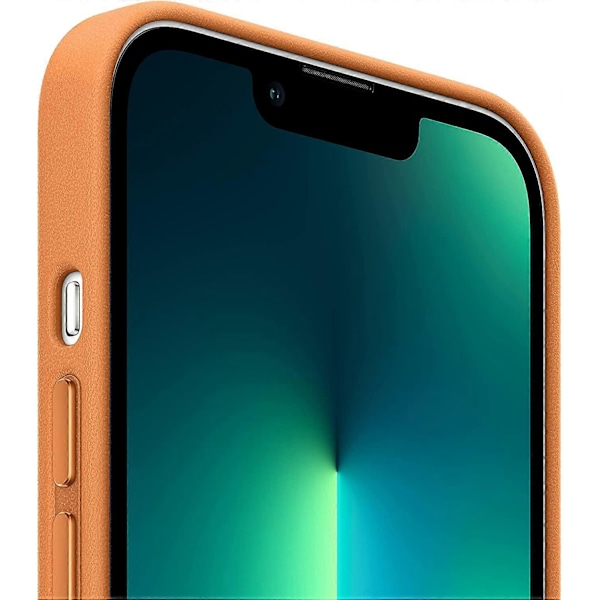 Dww-Orange Apple Læder Cover med (til iPhone 12 Pro Max)
