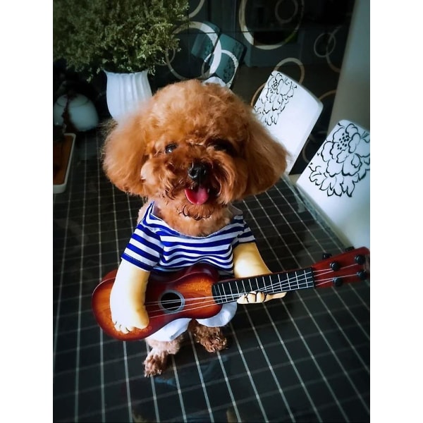Halloween Hund Kostymer Husdjur Julfest Outfit Katt Cosplay Kläder Rolig kostym Playing guitar not include wig L