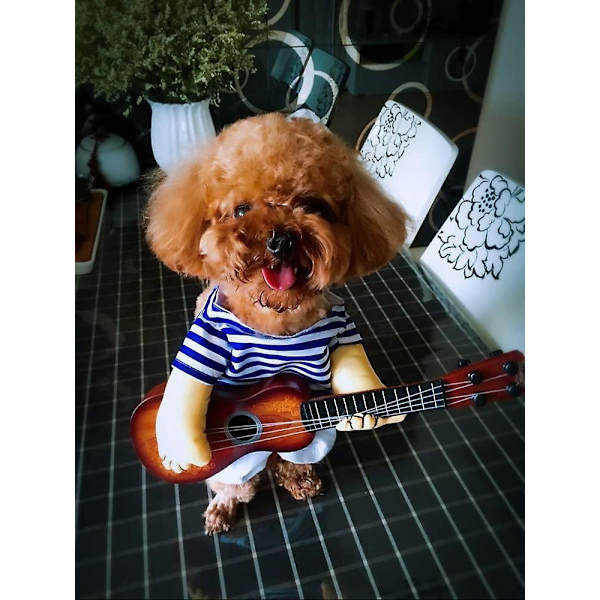 Halloween Hund Kostymer Husdjur Julfest Outfit Katt Cosplay Kläder Rolig kostym Playing guitar not include wig M