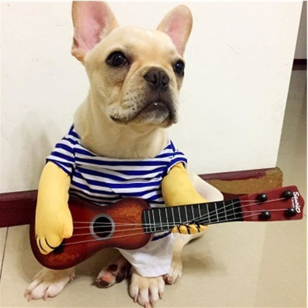 Halloween Hund Kostymer Husdjur Julfest Outfit Katt Cosplay Kläder Rolig kostym Playing guitar not include wig XL