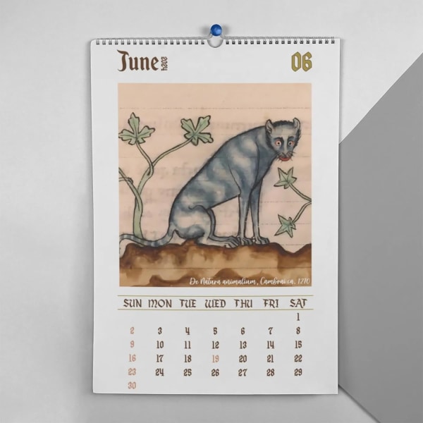 2024 Funny Cats Calendar - Ugly Medieval Cats Väggkalender, månatlig hängande present. Söta djur, tjockt papper. Storlek: 11" x 8,5". (1 ST) 1PCS color