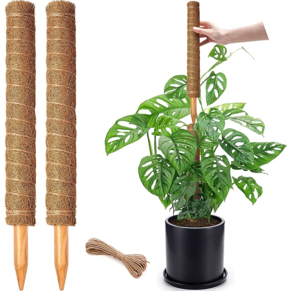 2-pak stabelbare mosstænger til klatreplanter - store kokosplantestøttepæle - perfekt til Monstera, Pothos og Philodendron indendørs planter 40cm