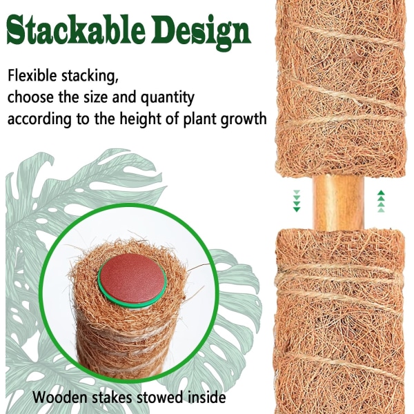 Pakkaa 2 pinottavaa sammaltankoa kiipeilykasveille - Suuret kookospuukasvien tukipanokset - Täydellinen Monstera-, Pothos- ja Philodendron-sisäkasveille 40cm
