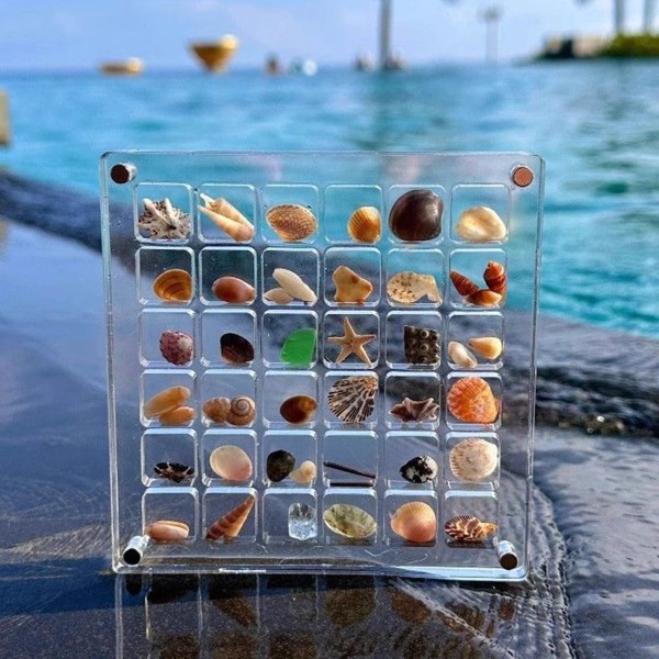 Magnetisk snäckskalsdisplay i akryl, Bärbar Diamond Gemstone Beads Organizer Box, Clear Mini Seashell-förvaringslåda 1pcs 36 grids