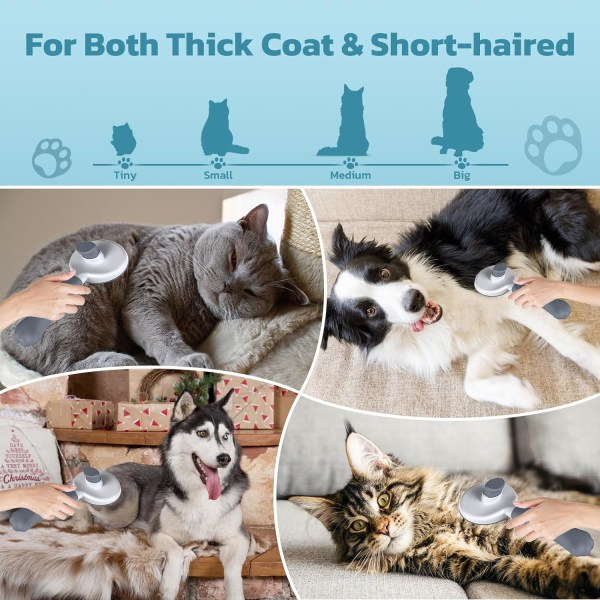Katt- och hundborste [Ergonomiskt grepp och entrycksrengöring och patenterad design] Kort och långt hår Borttagningsborste för hund/katt/kanin för husdjur B