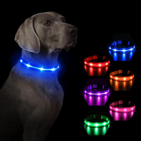 LED lys op hundehalsbånd - USB genopladelig og vandtæt - 3 blinkende tilstande - Super lys justerbar halsbånd til små, mellemstore, store hunde M Pink