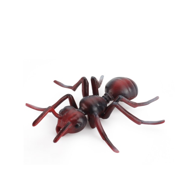 Insektsmodell med tydlig textur och realistiskt utseende PVC mikrosimulering insektsdjur skulptur heminredning Red Ant