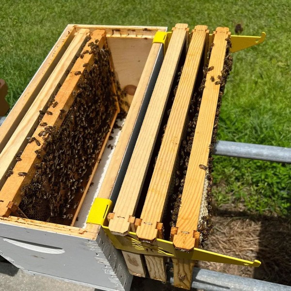 Bikuberammeholdersæt - inspektionsbeslag i rustfrit stål og aborre til biavlsartikler Black 2pcs