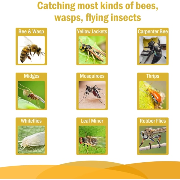 4 pakke hvepsefælder Udendørs snedkerbifælde til udvendige gule jakker Dræberbifanger Hornetfælde til havegård Insektdræber