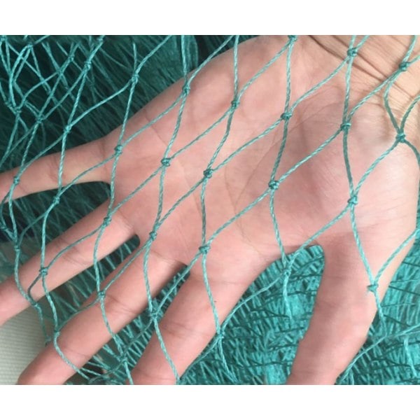 Sommer Udsalg 5X10M Kraftig Anti-fugle Net Havehegn og Afgrøder