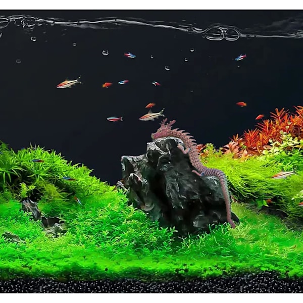 Sommarrea 30cm Rolig Drake Akvarium Ornament 3D Mini Akvarium Dekorationer Landskap Kreativ Tecknad M green