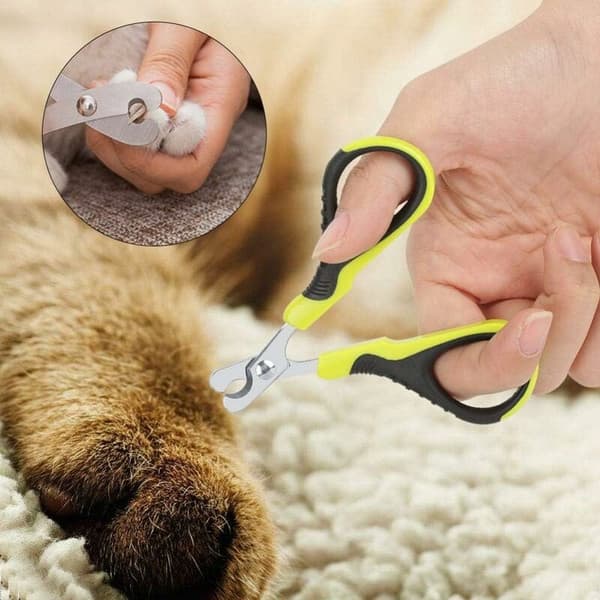 Sorte grønne buede kæledyrs negleklippere Små buede blade til hunde katte trim hjem 1 stk