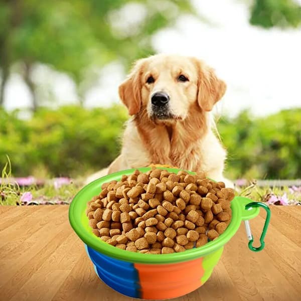 Kamouflage vikbar hundskål 2-pack med karbinhake bärbar för resor vandring camping 2-pack